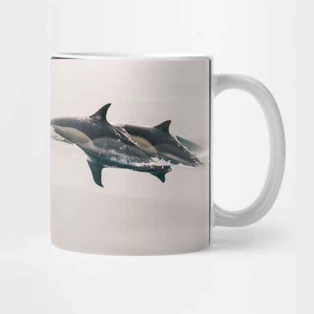 Dolphin Pod Swimming by Tees_N_Stuff